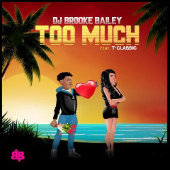 Download Lagu DJ Brooke Bailey ft T-Classic Too Much Mp3 Planetlagu
