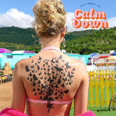 Download lagu Taylor Swift You Need To Calm Down  mp3